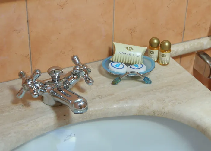 Fellini A Fontana Di Trevi Hotel Roma